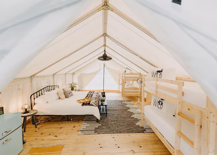 Timberline Glamping At Amicalola Falls