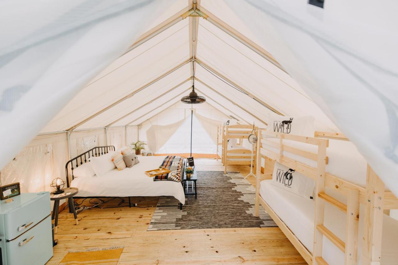 Luxury tent Timberline Glamping At Amicalola Falls *