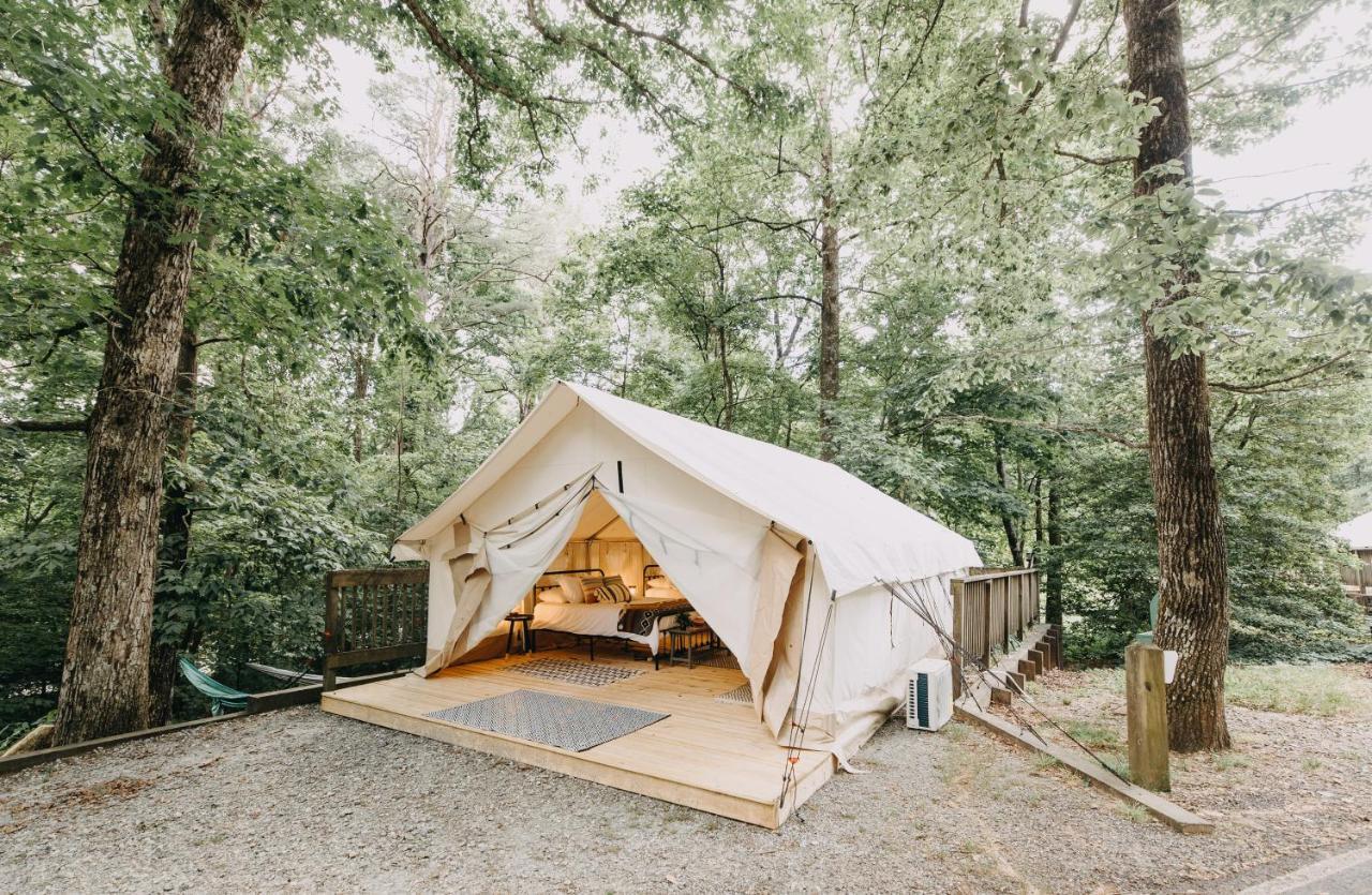 Timberline Glamping At Amicalola Falls
